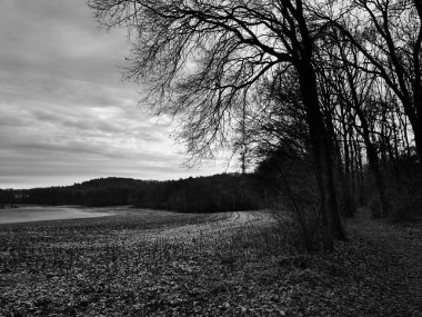 Alman Muensterland 'inde manzara