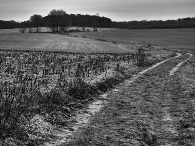 Alman Muensterland 'inde manzara