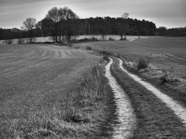 Alman Muensterland 'inde manzara