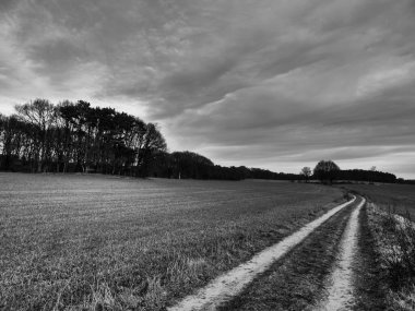 Alman Muensterland 'inde manzara