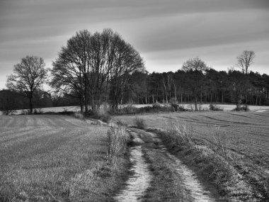 Alman Muensterland 'inde manzara
