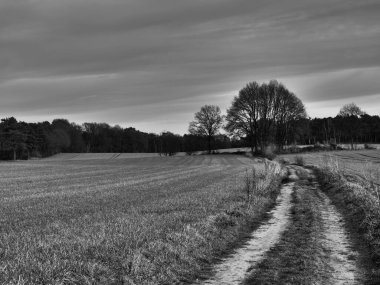 Alman Muensterland 'inde manzara