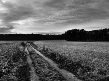 Alman Muensterland 'inde manzara