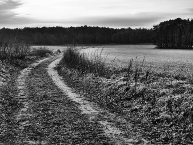 Alman Muensterland 'inde manzara