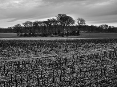 Alman Muensterland 'inde manzara