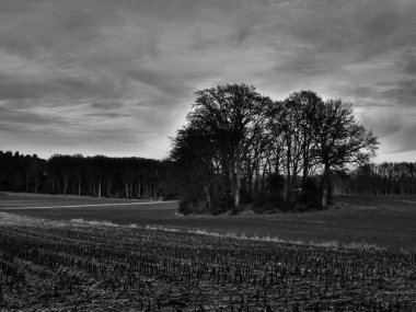 Alman Muensterland 'inde manzara