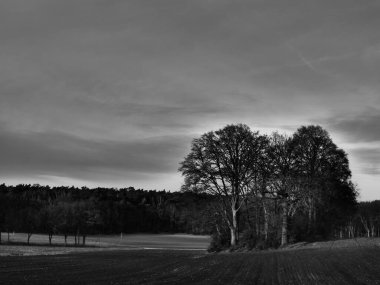 Alman Muensterland 'inde manzara