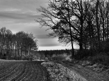 Alman Muensterland 'inde manzara