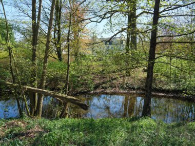 Alman Muensterland 'inde manzara