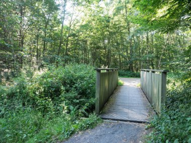 Alman Muensterland 'inde bahar geldi.