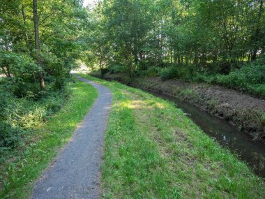 Alman Muensterland 'inde bahar geldi.
