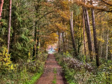 Vreden şehri, Westphalia