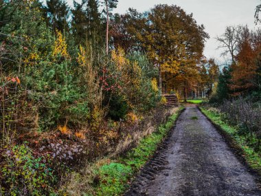 Vreden şehri, Westphalia