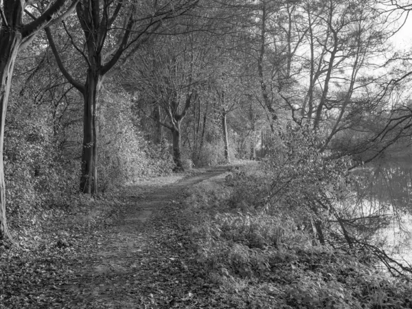 Westphalia 'da Borken yakınlarında küçük bir nehir.