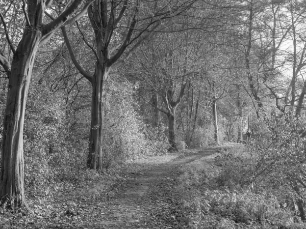 Westphalia 'da Borken yakınlarında küçük bir nehir.