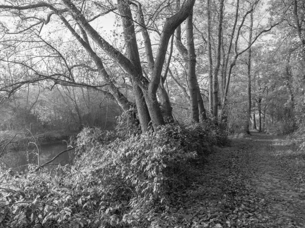 Westphalia 'da Borken yakınlarında küçük bir nehir.