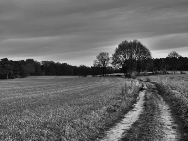 Alman Muensterland 'inde manzara