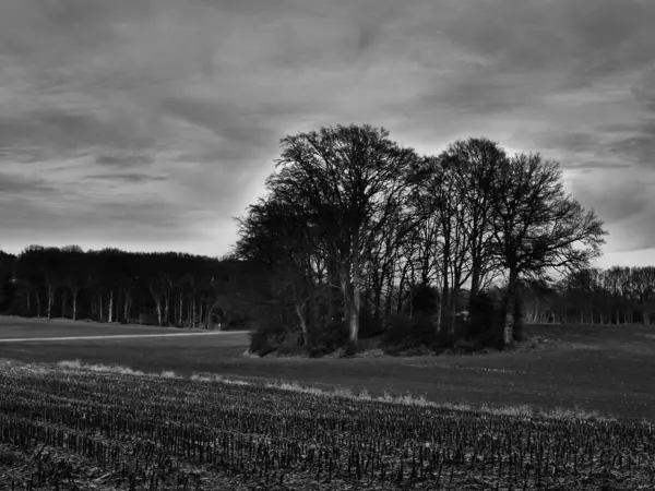 Alman Muensterland 'inde manzara