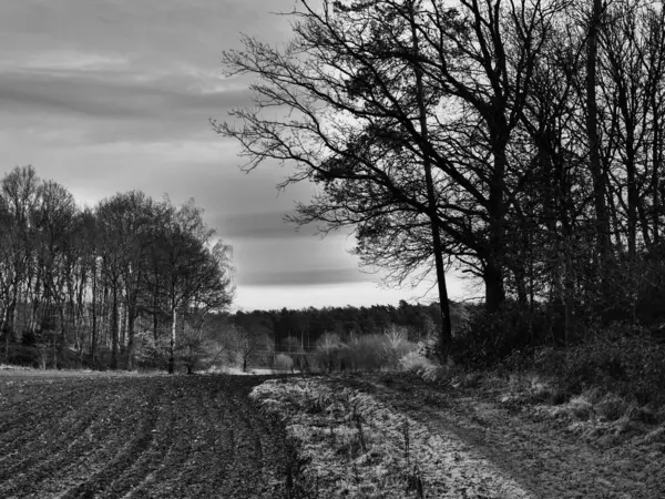 Alman Muensterland 'inde manzara
