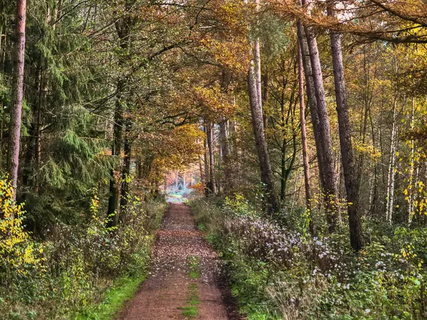 Vreden şehri, Westphalia
