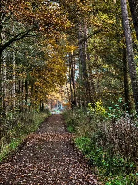 Vreden şehri, Westphalia