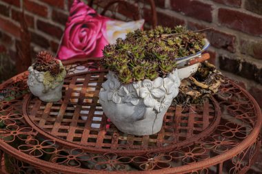 Westphalia 'da bahar mevsimi