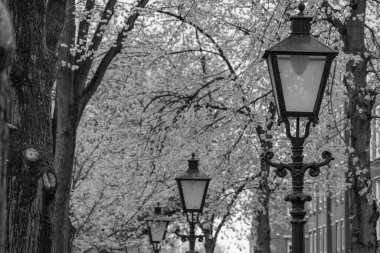Hollanda 'daki Den Haag ve Scheveningen plajı.