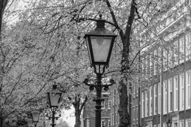Hollanda 'daki Den Haag ve Scheveningen plajı.