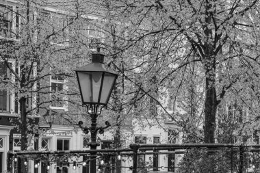 Hollanda 'daki Den Haag ve Scheveningen plajı.