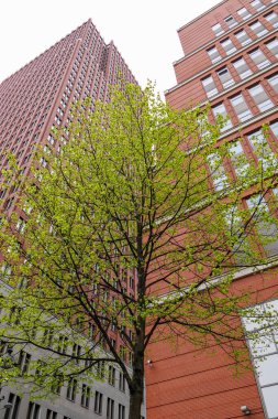 Hollanda 'daki Den Haag ve Scheveningen plajı.