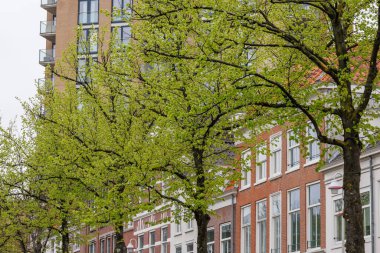 Hollanda 'daki Den Haag ve Scheveningen plajı.