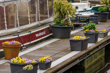 Hollanda 'daki Den Haag ve Scheveningen plajı.
