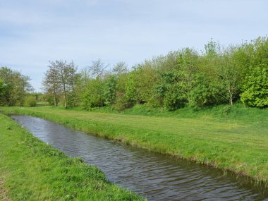 Hollanda 'da bir sürü lale var.
