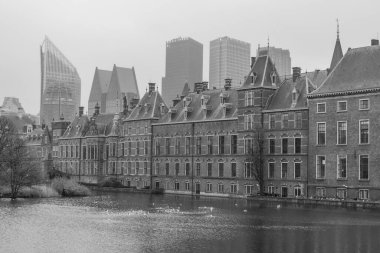 Hollanda 'daki Den Haag şehri.