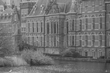 Hollanda 'daki Den Haag şehri.