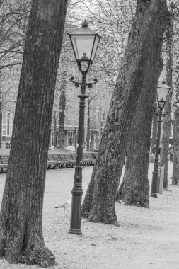 Hollanda 'daki Den Haag şehri.