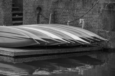 Hollanda 'daki Den Haag şehri.