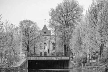 Hollanda 'daki Den Haag şehri.