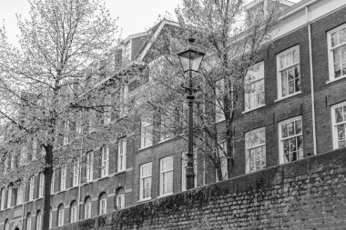 Hollanda 'daki Den Haag şehri.