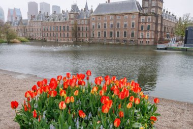 Den Haag şehri.