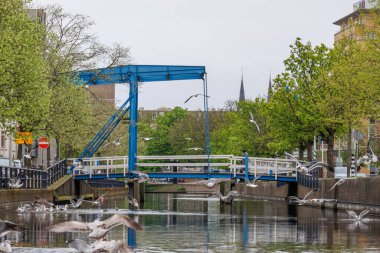 Hollanda 'dan Dordrecht ve Den Haag.