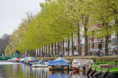 Hollanda 'dan Dordrecht ve Den Haag.