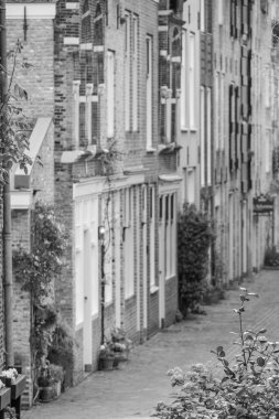 Hollanda 'dan Dordrecht ve Den Haag.