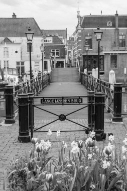 Hollanda 'daki Dordrecht şehri.