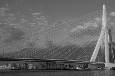 Rotterdam ve Dordrecht Hollanda 'da
