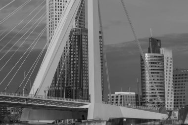 Hollanda 'da Rotterdam