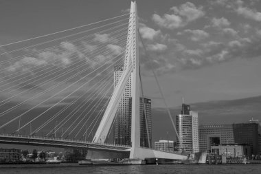 Hollanda 'da Rotterdam