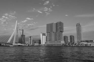 Hollanda 'da Rotterdam