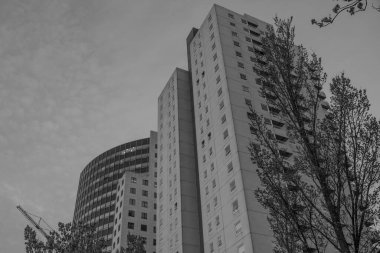 Hollanda 'da Rotterdam