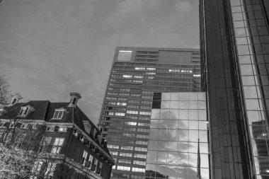 Hollanda 'da Rotterdam